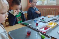 IMG_20260220_110934