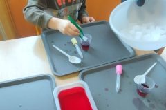 IMG_20260220_111100