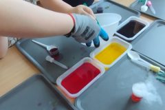 IMG_20260220_111144