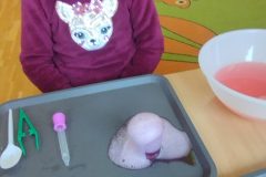 IMG_20260220_111635