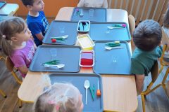 IMG_20260220_090648