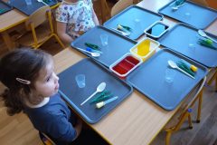 IMG_20260220_090652