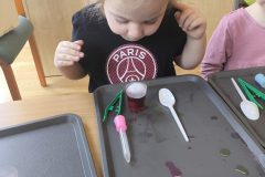 IMG_20260220_100940