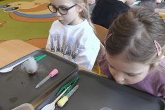 IMG_20260220_100956