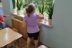 IMG_20250418_101834