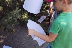 IMG_20230605_104305