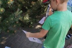 IMG_20230605_104306