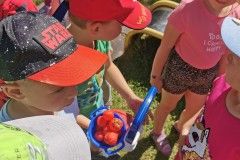 IMG_20230605_104627