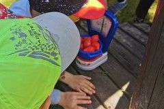 IMG_20230605_104733