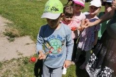 IMG_20230605_105551