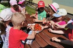 IMG_20230605_110252