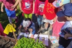 IMG_20230605_093450