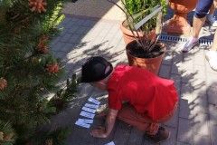 IMG_20230605_101943