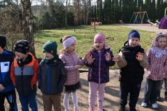 IMG20260319093721