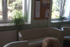 IMG_20250528_101708