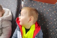IMG_20261019_093646195