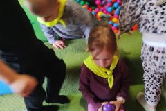 IMG_20261019_102803242