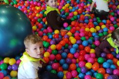 IMG_20261019_113347677