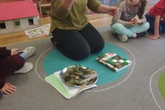 IMG_20251022_132305