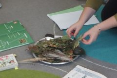 IMG_20251022_132502