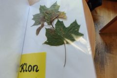 IMG_20251022_134437