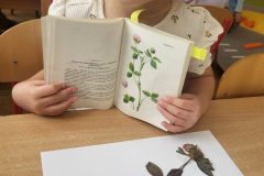 20250918_123937