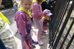 IMG20260529102334