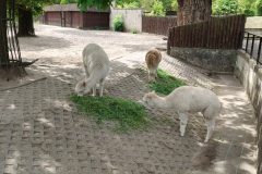 IMG20260529104448