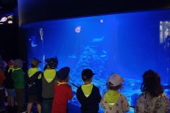 IMG20260529112609