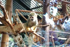 IMG_20260529_095428