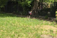 IMG_20260529_100647