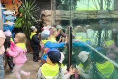 IMG_20260529_113559