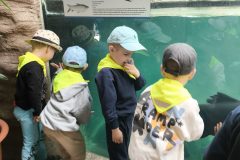 IMG_20260529_113630