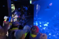 IMG_20260529_114109
